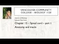 1120 Ch13 Spinal cord 1 anatomy &amp; tracts