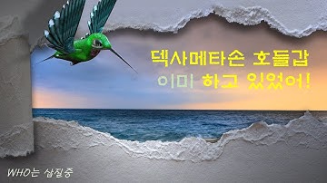 덱사메타손 호들갑 (feat. 원래 다 알고 있었어)