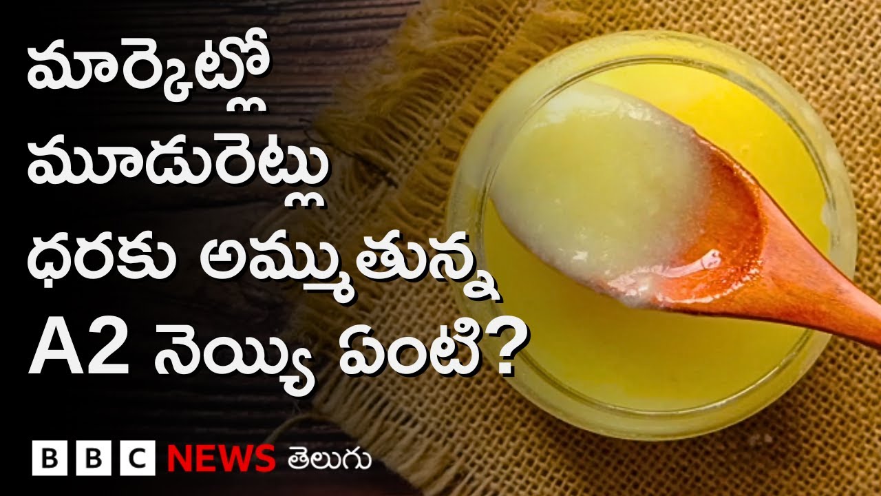 A2 Ghee పేరుతో మార్కెట్లో రకరకాల వాదనలు, ఇది ఆరోగ్యానికి ఎంత ప్రయోజనకరం? BBC Telugu