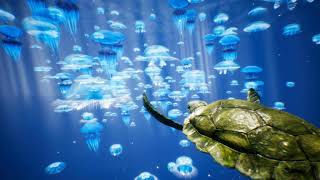 FuninVR’s Little Turtle Adventure screenshot 3