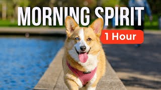 CALM Morning Music for DOGS  FEEL THE MORNING SPIRIT