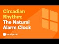 Understanding Circadian Rhythms
