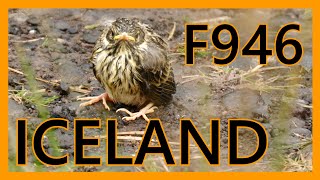 IJsland 2023 - Bergweg F946