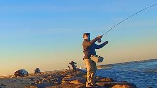 SUMMER FLY FISHING-THE BLITZ