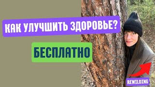 Как исцелиться с помощью природы? Новый тренд Human Rewilding #здоровье #природа #rewilding