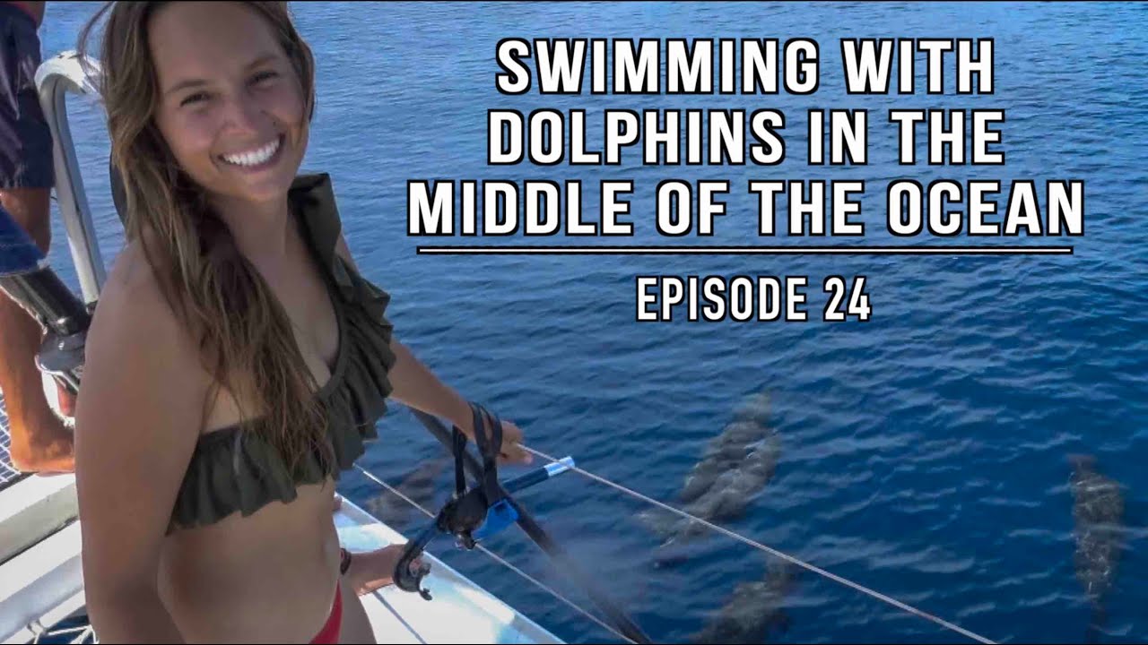 Swimming with dolphins in the middle of the ocean | Curacao | Episode 24