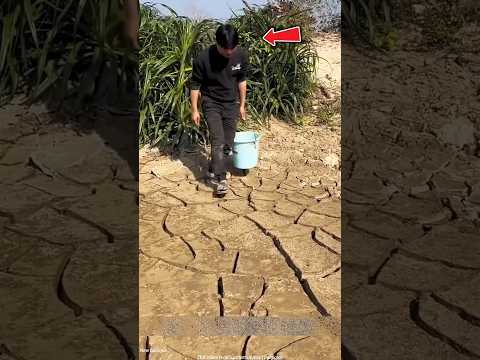 Everyone was amazed by this farmer's intelligence #shorts