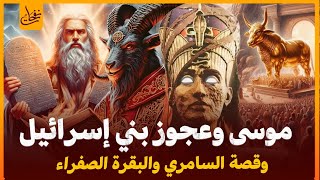 سلسلة قصص القران(11)قصة موسى وعجوز بني اسرائيل والسامري والبقرة الصفراء والخضر حتى وفاته عليه السلام