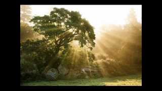 Beautiful Child - Rufus Wainwright