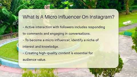 What Is A Micro Influencer On Instagram? - Everyday-Networking
