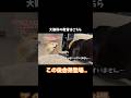 【上下関係のまだ分からないレトリバー】を教育する柴犬と力不足のハスキーが面白すぎる #柴犬 #シベリアンハスキー#shorts