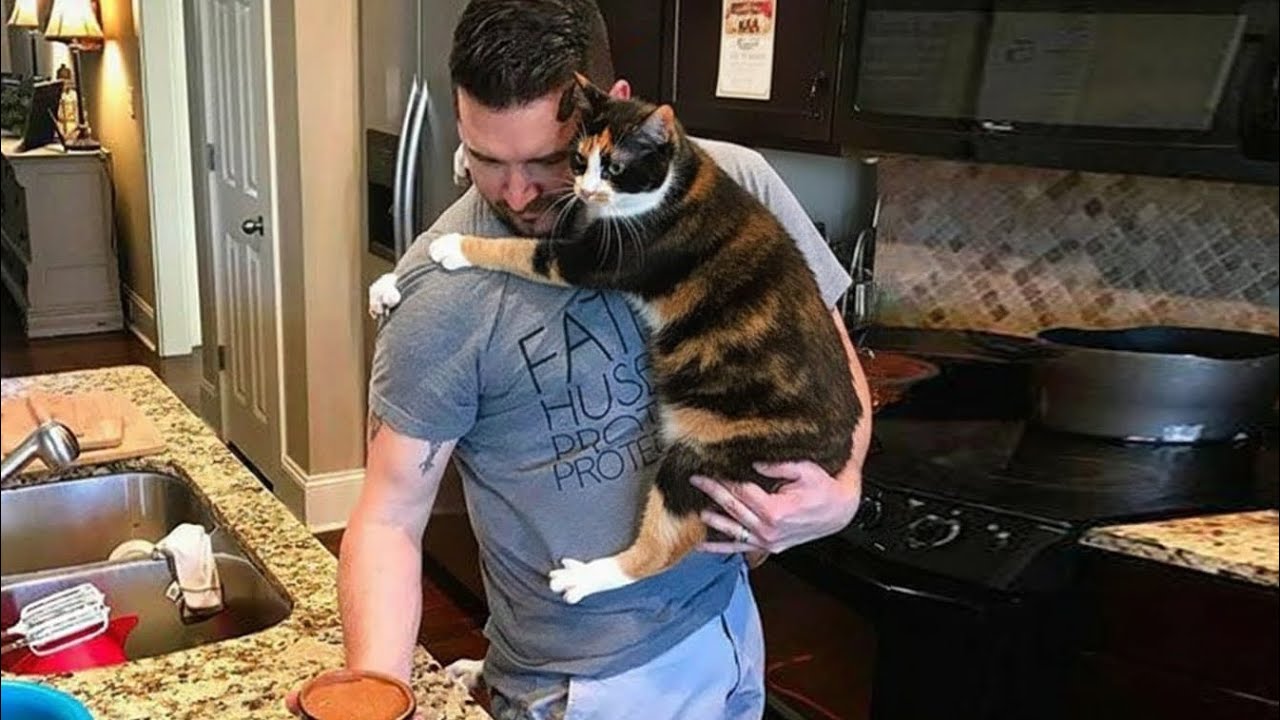 When Your Cat Steals Your Husband 😂