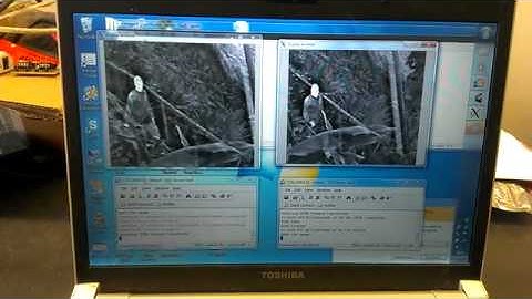 Video fusion with ZYNQ