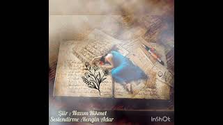 Ağırdır Sevmelerim Şiir Nazım Hikmet, Rengîn Adar