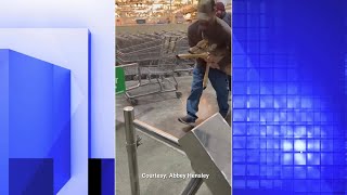 Celebrity Deer at Menards, Moline Net Worth