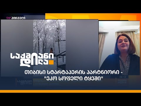 თიბისი სტარტაპერის პარტნიორი -  \"ეკო სოფელი ტყეში\"