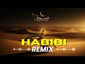 Arabic Night Flow Remix 2025 | Hashamatli Tungi Sayohat va EDM Hislari 💃