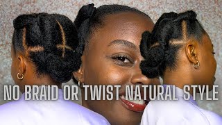 Easy &amp; Quick 4c Hair Style that lasts days (no braid or twist required)