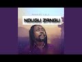 Ndugu zangu (feat. Afande sele)