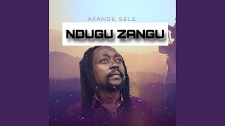 Ndugu zangu (feat. Afande sele)