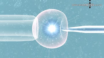 Our scientific and medical animation work - from a London animation studio