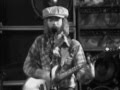 The New Riders of the Purple Sage - Henry - 8/31/1975 - Roosevelt Stadium (Official)