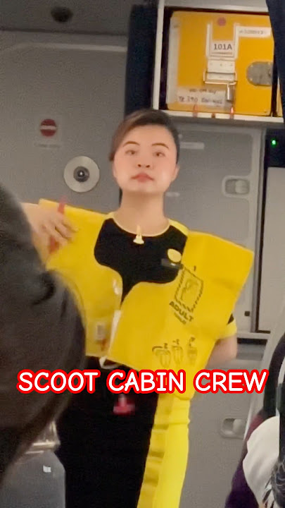 Scoot Cabin Crew #cabincrew #scoot #flightattendant #cabinlife #safetydemo #shortsviral #shortsfeed