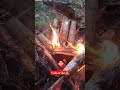 BAKAR2 IKAN DI TENGAN HUTAN #petualang #shorts
