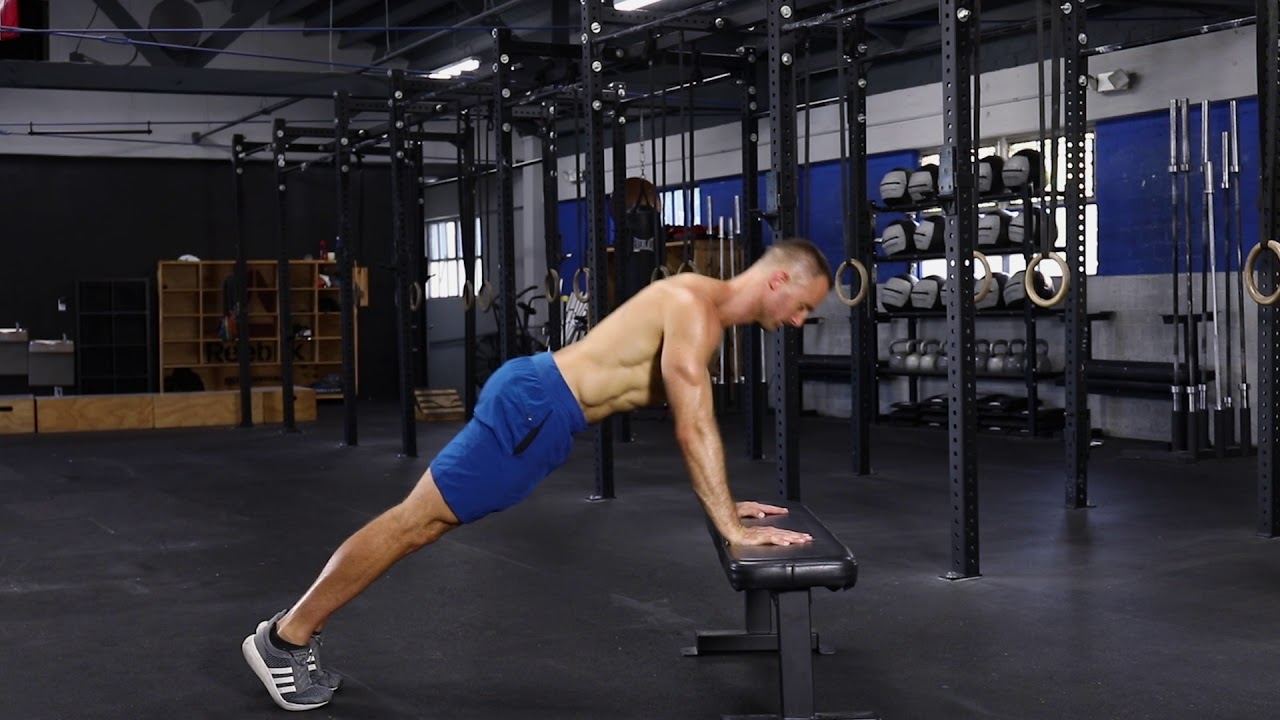 Pushups off bench exercise 14.1 class 11