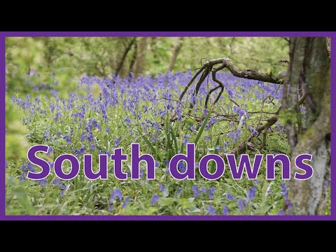 Arundel to Amberley: Discovering the Picturesque South Downs | UK Hiking Adventures 🇬🇧