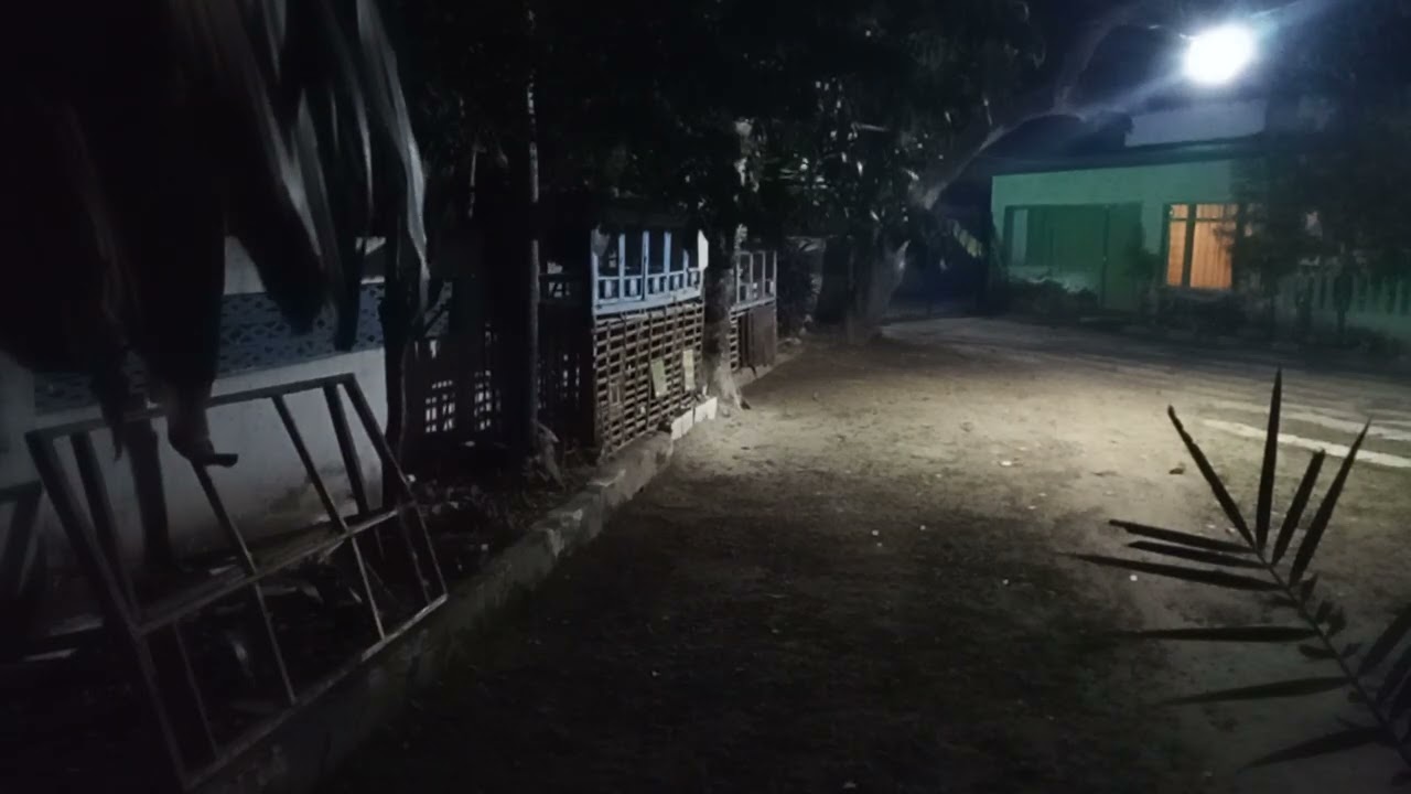 At 5 am in a village in Indonesia. Birds chirping and chickens chirping could be heard everywhere.