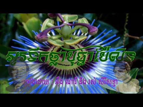 អូរទឹកថ្លាបុប្ផាប៉ៃលិន/Chomreang Khmer