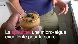 La spiruline se cultive aussi dans les Combrailles