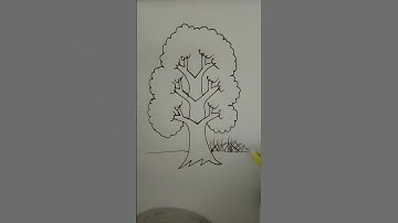 How to draw a tree easily #shorts #drawing