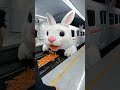 Sion princess Rabbit Train 🐰🥕😂