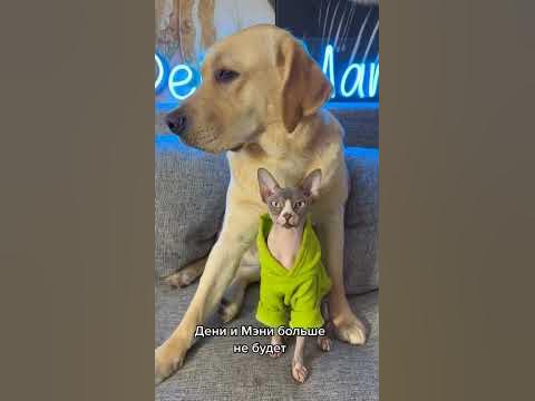 Дени и мени - YouTube
