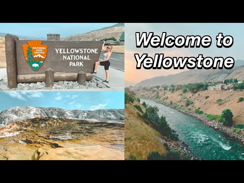 Yellowstone National Park | Travel Vlog