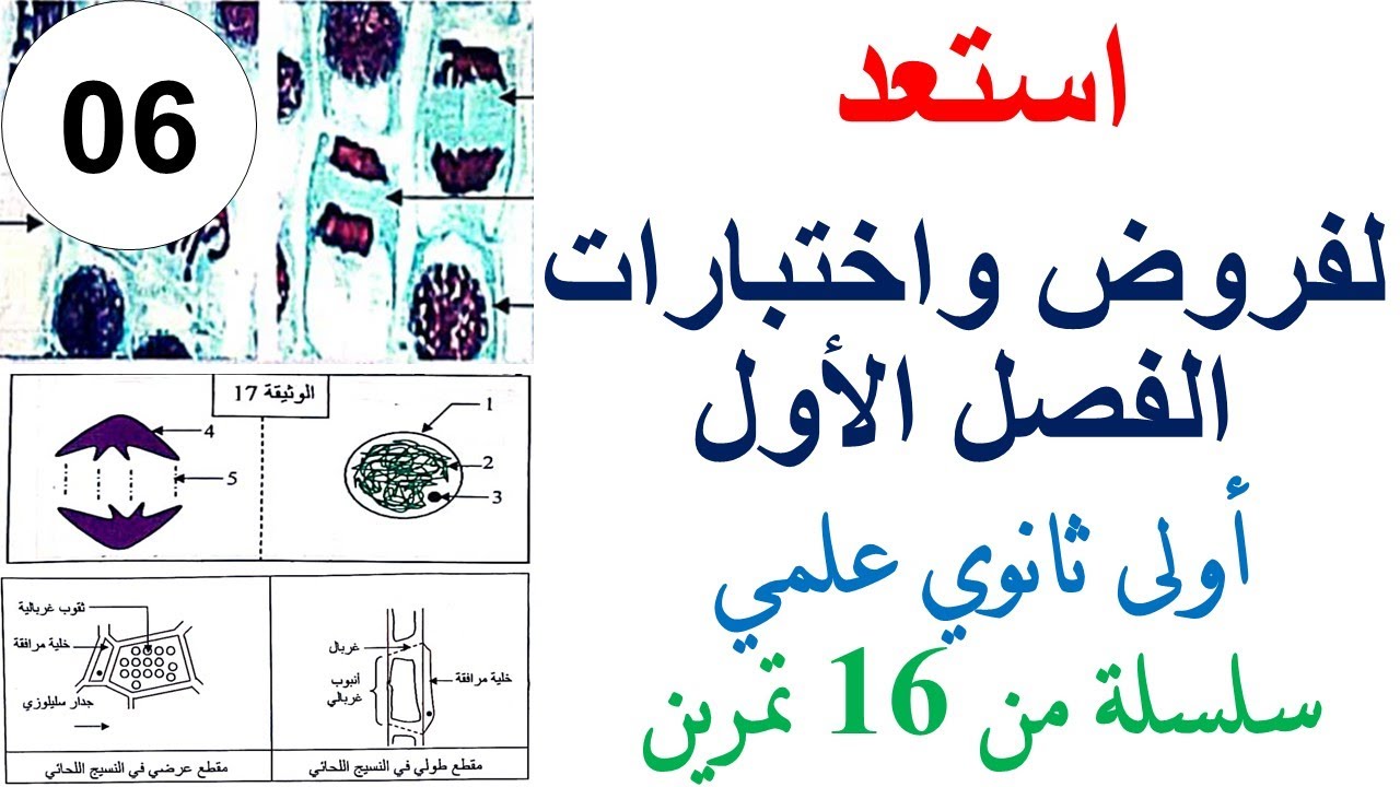 تمارين الفصل الاول للسنة الاولى ثانوي علمي