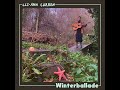 Winterballade - Lee-Ann Curren