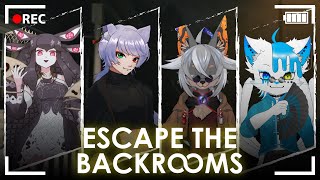 【The Backrooms】今日は久しぶりのトンネルの中から【VTuber/蚕鵺いづく】