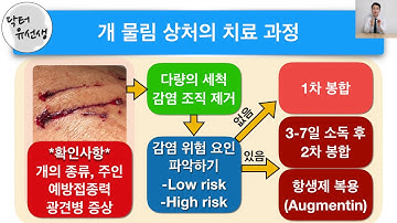 개에게 물렸을때 병원에 가야하나요? 치료 방법, 파상풍, 광견병에 대한 내용 정리