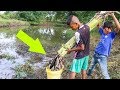 CERDAS !! POHON PISANG BISA MENGHASILKAN IKAN !!