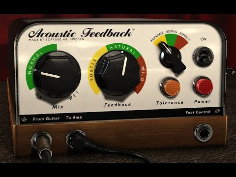 Acoustic Feedback Campaign