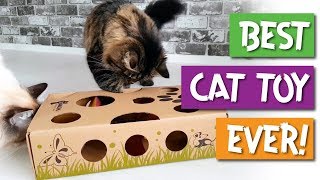 CAT AMAZING - Best Cat Toy Ever - Puzzle Toy & Feeder for Cats! by CatAmazing 73,691 views 6 years ago 36 seconds