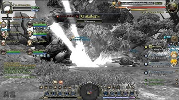 [THDN] - BUG STAGE6 SEA DRAGON NEST