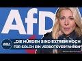 "GEFAHR FÜR DIE DEMOKRATIE": Sachsens SPD-Spitzenkandidatin will mögliches AfD-Verbot prüfen