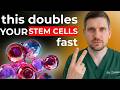 Try It for 3 Days — Support Cell Health and Boost Fat Metabolism Naturally