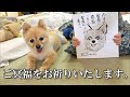 とても残念な事故が起きてしまいました…