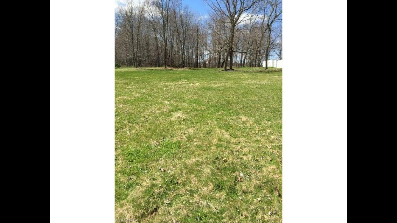 Lots And Land for sale 4226 South Hametown Rd, Norton, OH 44203 YouTube