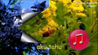 Karaoke  Ade Indra - Hatiku Melekat Dihatimu